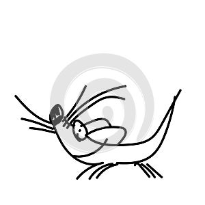 Hand drawn mouse, marker or pen cartoon Sketch. Vector illustration Eps 10