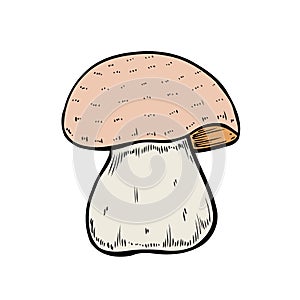 Hand drawn mushroom