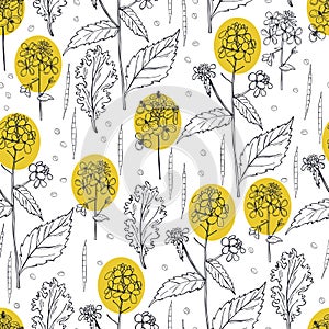 Hand-drawn mustard plant.  Vector  seamless pattern