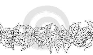 Hand drawn nature seamless pattern with virginia creeper leaves.