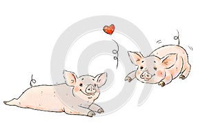 Hand drawn naughty pigs. Two cute funny piglets isolated on white background. Pig Chinese zodiac symbol of the year.