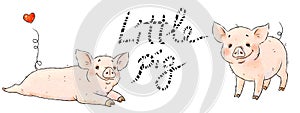 Hand drawn naughty pigs. Two cute funny piglets isolated on white background. Pig Chinese zodiac symbol of the year.