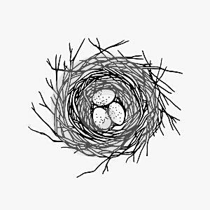 Hand drawn nest illustration