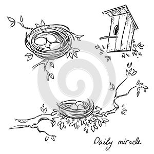 Hand drawn nests and a birdhouse, line drawing