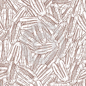 Hand drawn nuts. Pecan. Vector  seamless pattern