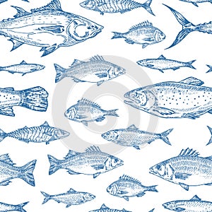 Hand Drawn Ocean Fish Vector Seamless Background Pattern. Anchovy, Herrings, Tuna, Dorado, Mackerel, Seabass and Salmons photo