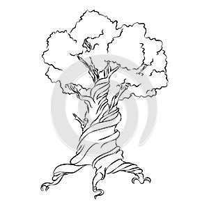 Hand Drawn Old Tree. Symbol on White Background. Vector