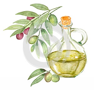 Pintado a mano olivos acuarela aceite una botella olivos hojas ilustraciones verdor designación de la organización o institución diseno tarjeta creación 