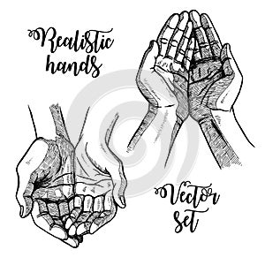 Hand drawn open palms. Black and white vintage hands. Vector sketch