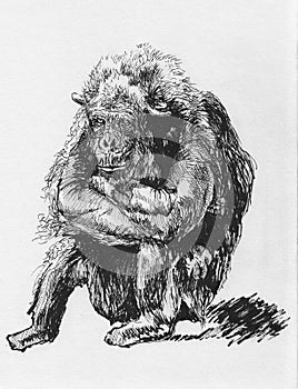 Hand drawn orangutan sketch