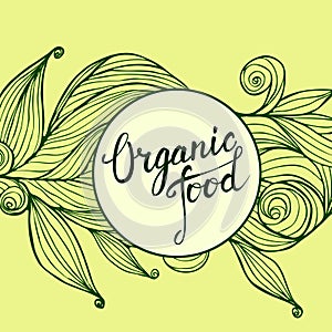 Hand drawn ornament and original hand lettering Organic food.