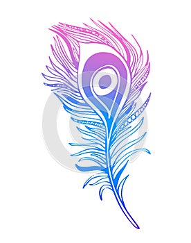 Hand drawn ornamental feather, line art, zentangle inspired illustration.