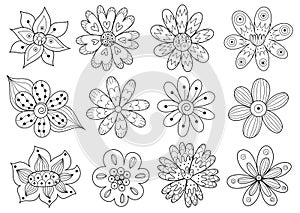 Hand drawn ornamental flowers black and white set. Collection with doodle plants