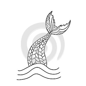 Hand drawn ornamental mermaid`s tail. Vector illustration