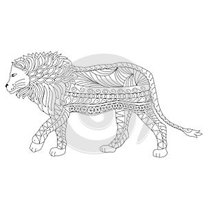 Hand drawn ornamental outline lion body and head
