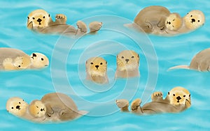 Otters photo