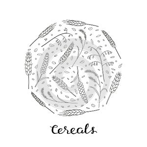 Hand drawn outline cereals and grains in circle.