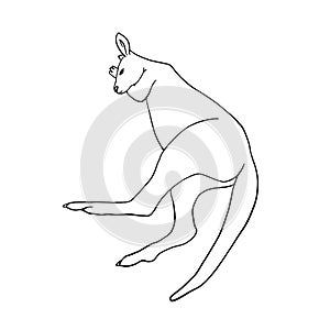 Hand drawn outline image of a kangaroo. Vector sketch of Australian animal isolated on white backround