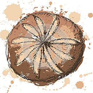 Hand drawn outlines of round bread with abstract brown fill and sprays