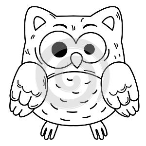 Hand drawn owl character illustration