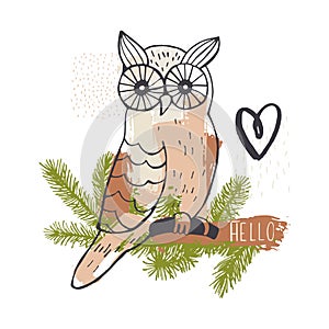 Hand drawn owl on white background.  Vector sketch  illustration photo