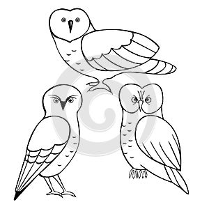 Owls set. Line drawing Vector illustration photo