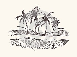 Hand drawn palm beach,Goa sketch illustration.
