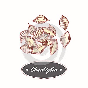 Hand drawn pasta conchiglie isolated on white. Element for restaurant or food package design