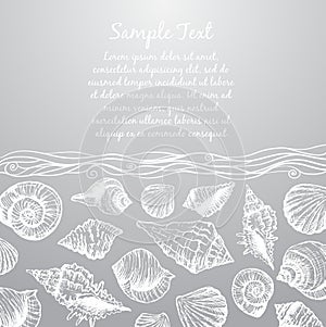 Hand drawn pattern with various seashells and