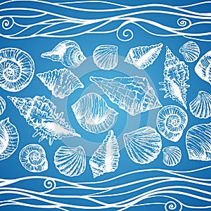 Hand drawn pattern with various seashells