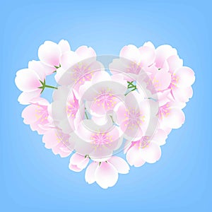 Hand drawn peach blossom cherry white flowers heart shaped plant blue background vector illustration