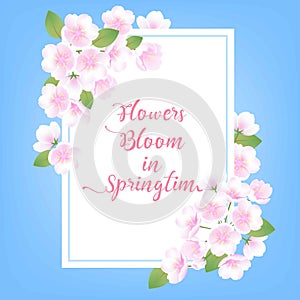 Hand drawn peach blossom sakura white flower plant, Vector illustration invitation on blue background. Billboard