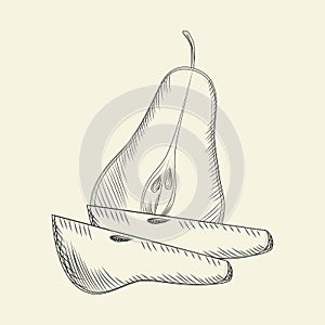 Hand drawn pear. Ripe sliced pears isolated on background.