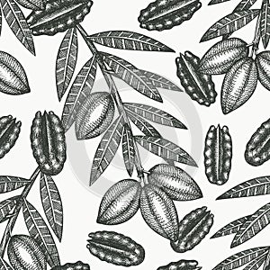 Hand drawn pecan branch and kernels seamless pattern. Organic food vector illustration on white background. Vintage nut
