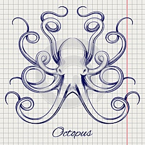 Hand drawn pen sketch octopus