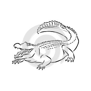 Hand-drawn pencil graphics, crocodile, alligator, croc. Engraving, stencil style. Black and white logo, sign, emblem