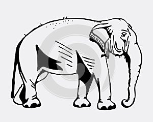 Hand-drawn pencil graphics, elephant. Engraving, stencil style. Black and white logo, sign, emblem, symbol. Stamp, seal