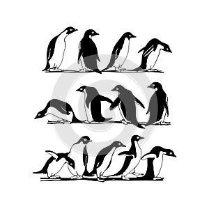 Hand drawn penguins