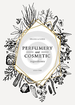 Hand drawn perfumery and cosmetics ingredients design. Decorative frame with vintage aromatic plants, fruits, spices, herbs for