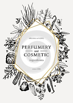 Hand drawn perfumery and cosmetics ingredients vintage flyer. Decorative background with aromatic plants, fruits, spices, herbs