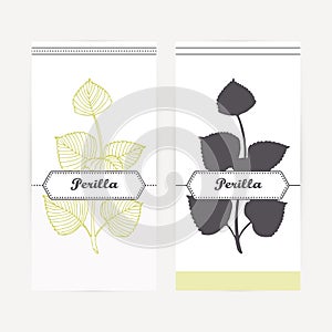 Hand drawn perilla in outline and silhouette style. Spicy herbs