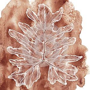Hand drawn philodendron leaf on terracotta texture background.