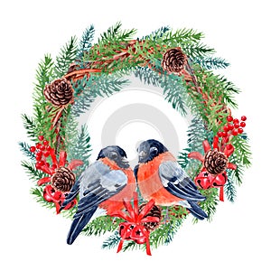 Hand drawn picture for Christmas design. Wreath with Bullfinch Birds and fir twigs. Decorated willow Wreath, red bows and bells