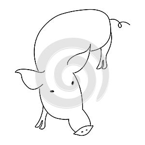 Hand drawn pig silhouette. Vector illustration on white background. Line icon
