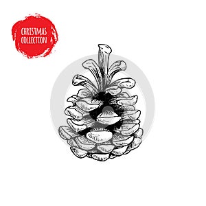 Hand drawn pine cone sketch style. Christmas symbol isolated on white background.