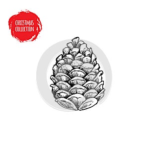 Hand drawn pine cone sketch style. Christmas symbol isolated on white background.