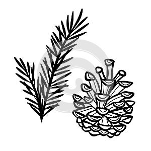 Hand drawn pine and pine cone illustration, vector clip art set