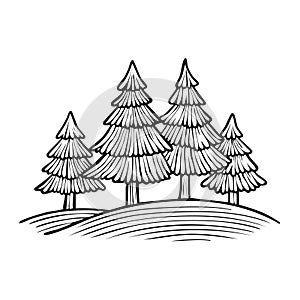 Hand drawn pine tree forest on rolling hills vector line art illustration