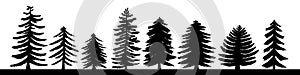 Hand drawn pine tree silhouette set. A variety of coniferous iso