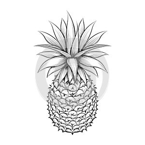 Hand drawn pineapple